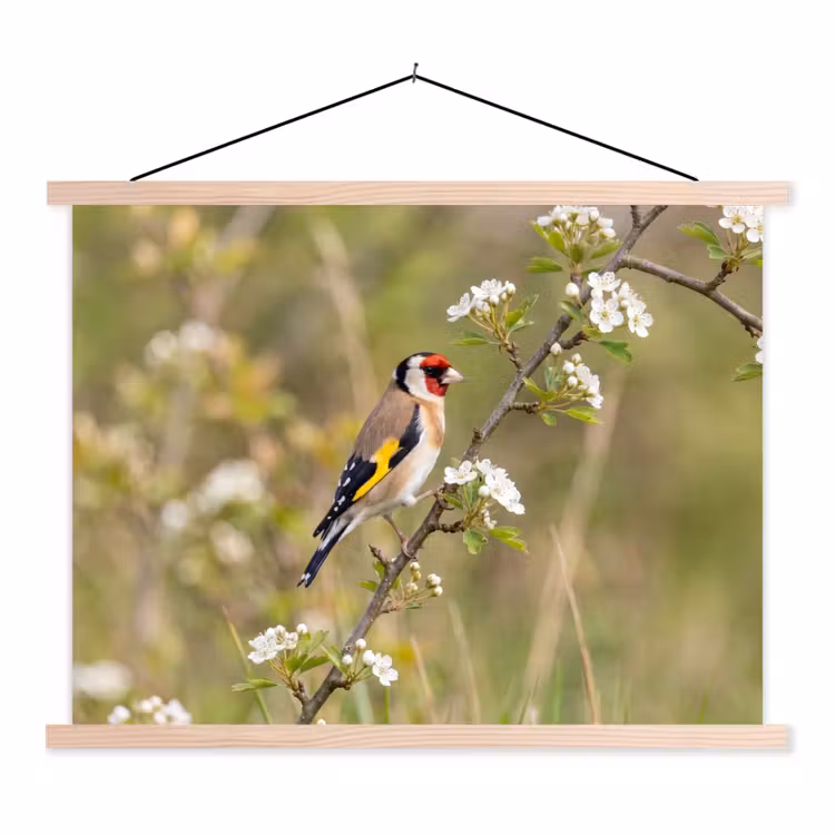 Putter - Bloesem - Lente - Natuur - Kleurrijk textielposter latten blank klein -3d