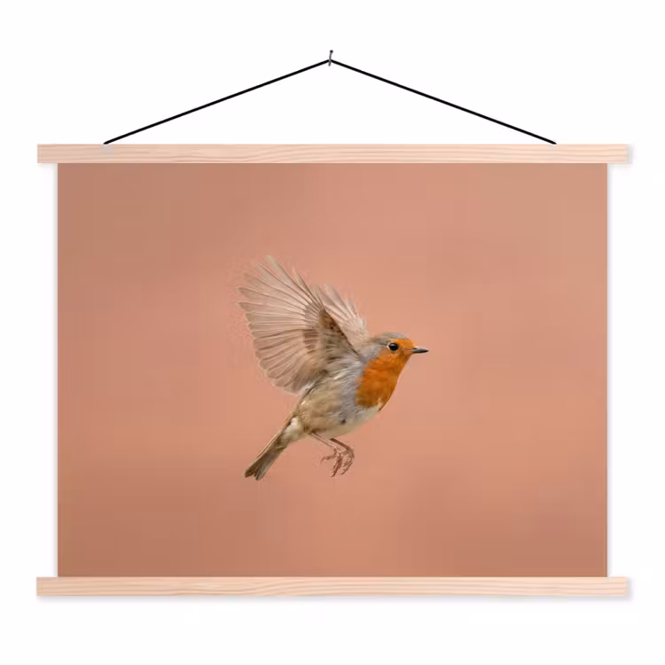 Roodborst - Natuur - Roze textielposter latten blank klein -3d