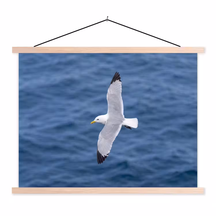 Zeemeeuw - Oceaan - Blauw textielposter latten blank klein -3d