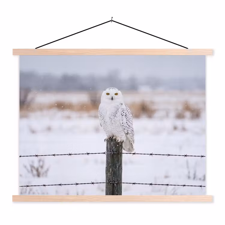 Sneeuwuil - Hek - Sneeuw - Wit textielposter latten blank klein -3d