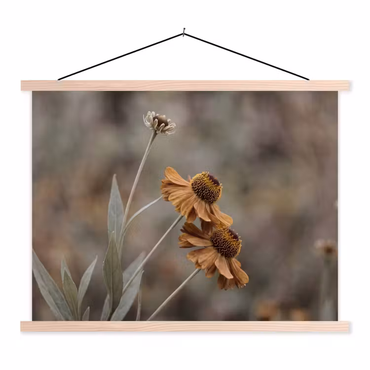 Zonnehoed - Droogbloemen - Geel - Warm textielposter latten blank klein -3d