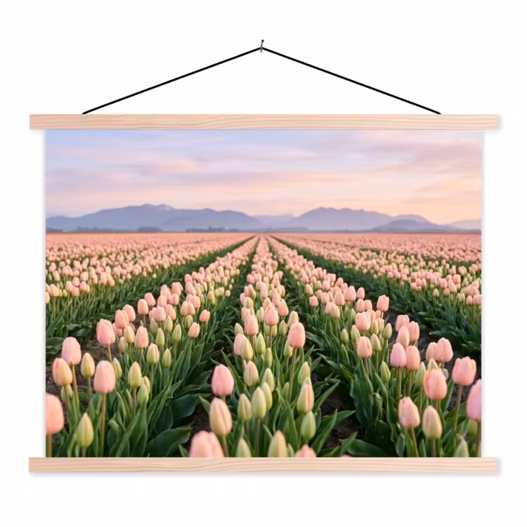 Tulpen - Landschap - Roze textielposter latten blank klein -3d