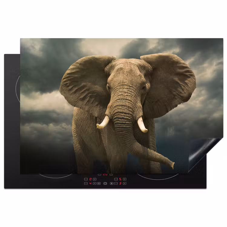 Afrikaanse olifant tegen de donkere wolken Inductie beschermer vinyl 3mm klein -3d