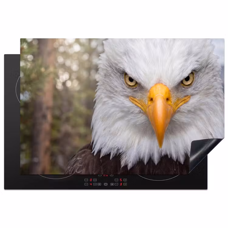 Amerikaans - Zeearend - Portret - Geel Inductie beschermer vinyl 3mm klein -3d
