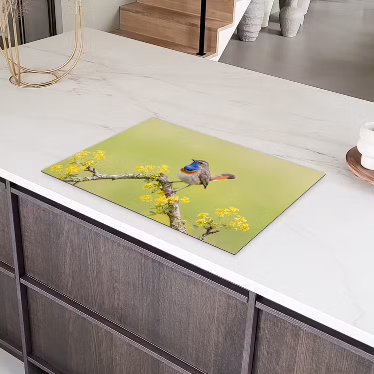Vogel - Tak - Natuur - Kleurrijk Inductie beschermer vinyl 3mm klein -sfeer8