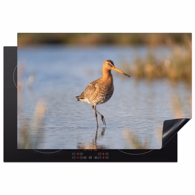 Vogel - Steltloper - Water - Natuur Inductie beschermer vinyl 3mm klein -3d