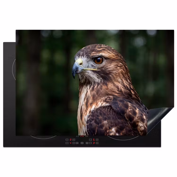 Buizerd - Roofvogel - Natuur - Bruin Inductie beschermer vinyl 3mm klein -3d