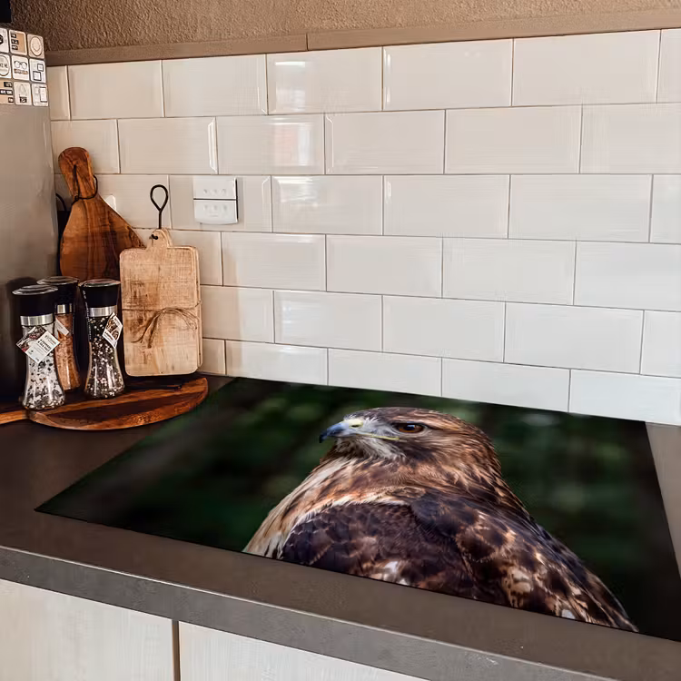 Buizerd - Roofvogel - Natuur - Bruin Inductie beschermer vinyl 3mm klein -sfeer3