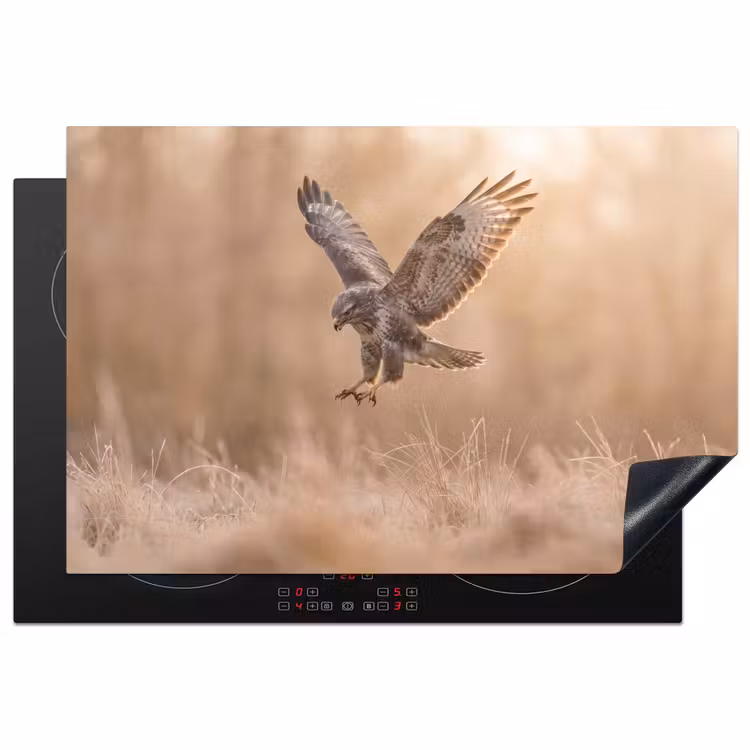 Buizerd - Roofvogel - Natuur - Bruin Inductie beschermer vinyl 3mm klein -3d