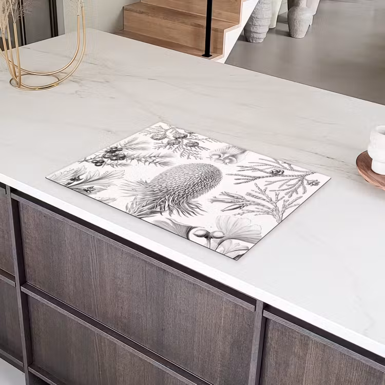 Coniferen - Ernst Haeckel - Kunst - Retro - Illustratie - Natuur Inductie beschermer vinyl 3mm middel -sfeer8