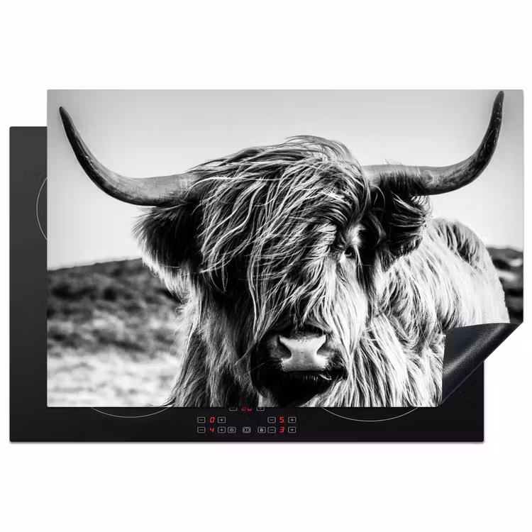 Koe - Schotse hooglander - Zwart - Wit - Dier - Natuur - Wild Inductie beschermer vinyl 3mm klein -3d