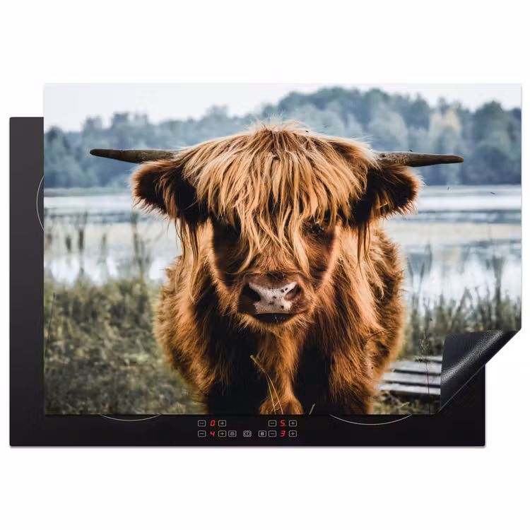 Koeien - Schotse hooglander - Bruin - Natuur Inductie beschermer vinyl 3mm middel -3d