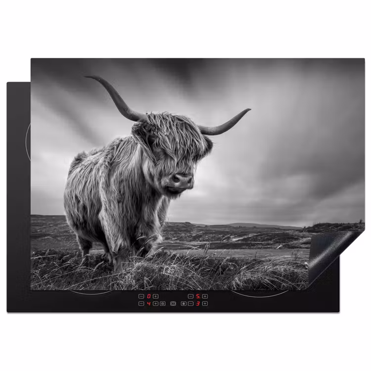 Koeien - Schotse hooglander - Natuur - Dieren - Zwart wit Inductie beschermer vinyl 3mm middel -3d