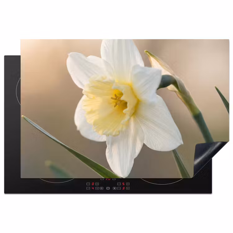 Narcis - Bloem - Minimalistisch Inductie beschermer vinyl 3mm klein -3d