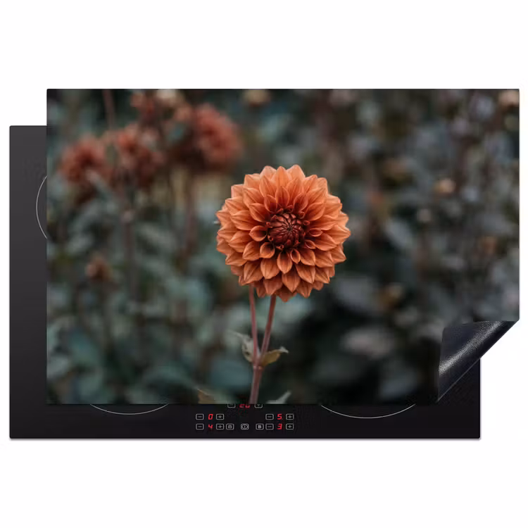 Dahlia - Bloem - Natuur - Sfeervol Inductie beschermer vinyl 3mm klein -3d