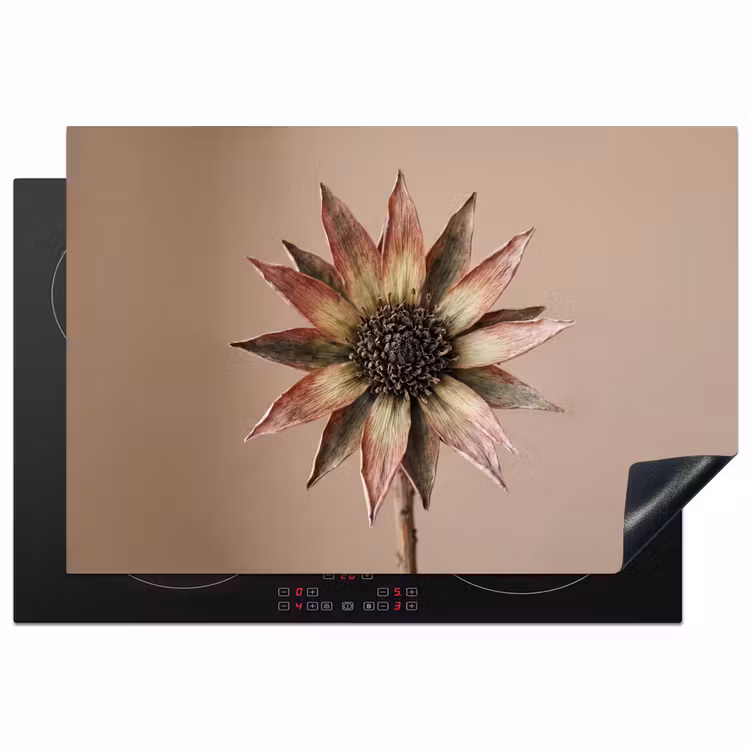 Droogbloem - Protea - Vintage - Beige - Rustiek Inductie beschermer vinyl 3mm klein -3d