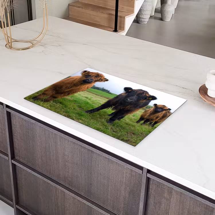 Duo van de Weide Inductie beschermer vinyl 3mm klein -sfeer8