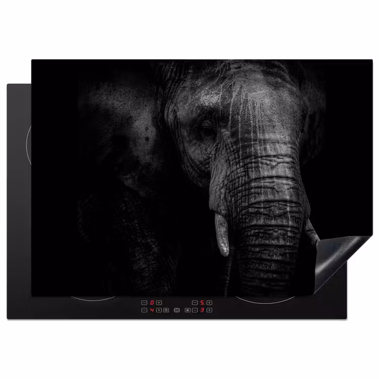 Olifant - Dier - Portret Inductie beschermer vinyl 3mm middel -3d