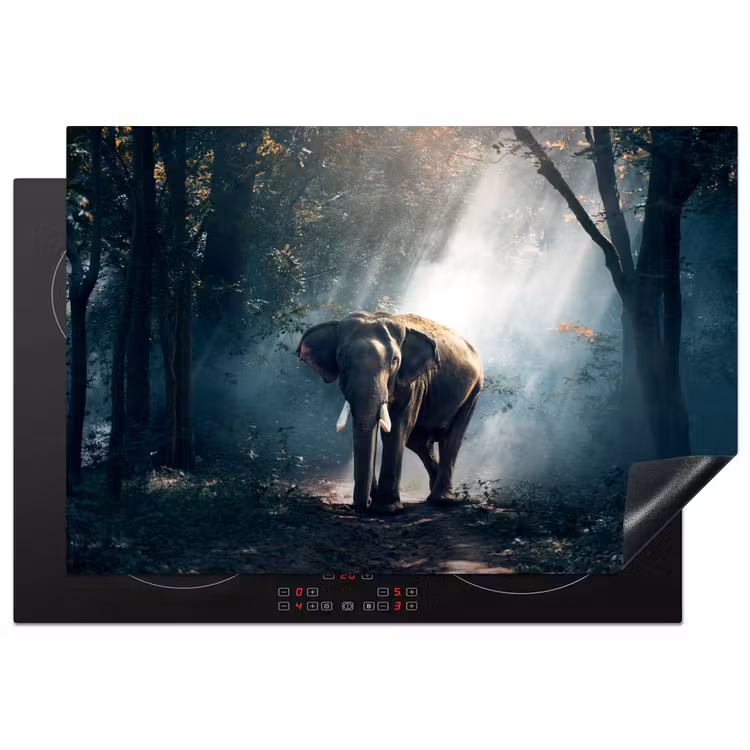 Olifant - Dieren - Licht - Bos - Natuur - Wilde dieren Inductie beschermer vinyl 3mm klein -3d