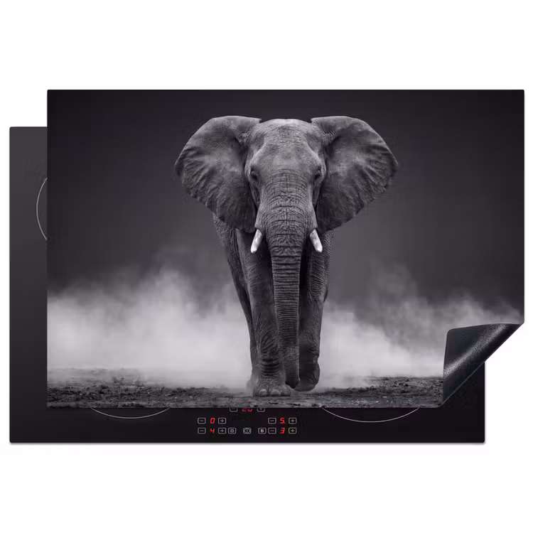 Olifant - Zwart - Wit - Rook Inductie beschermer vinyl 3mm klein -3d