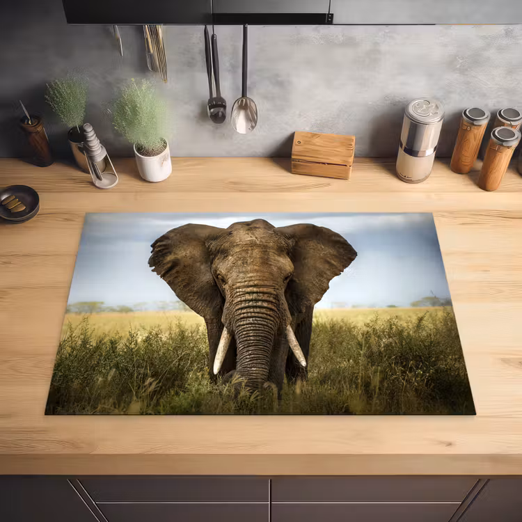 Olifant - Natuur - Gras - Dieren - Landschap Inductie beschermer vinyl 3mm klein -sfeer5