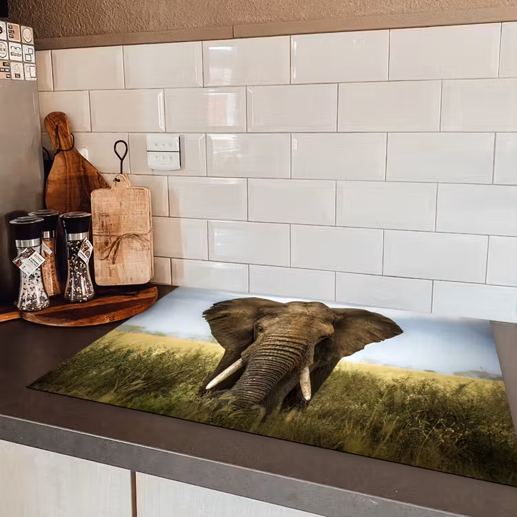 Olifant - Natuur - Gras - Dieren - Landschap Inductie beschermer vinyl 3mm klein -sfeer3