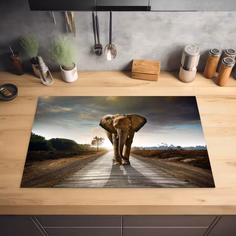 Olifant - Weg - Dieren - Zonsondergang - Landschap Inductie beschermer vinyl 3mm klein -sfeer5
