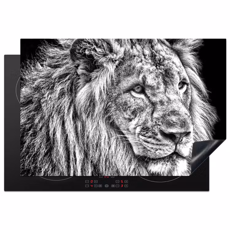 Gravure van een Koning Inductie beschermer vinyl 3mm klein -3d
