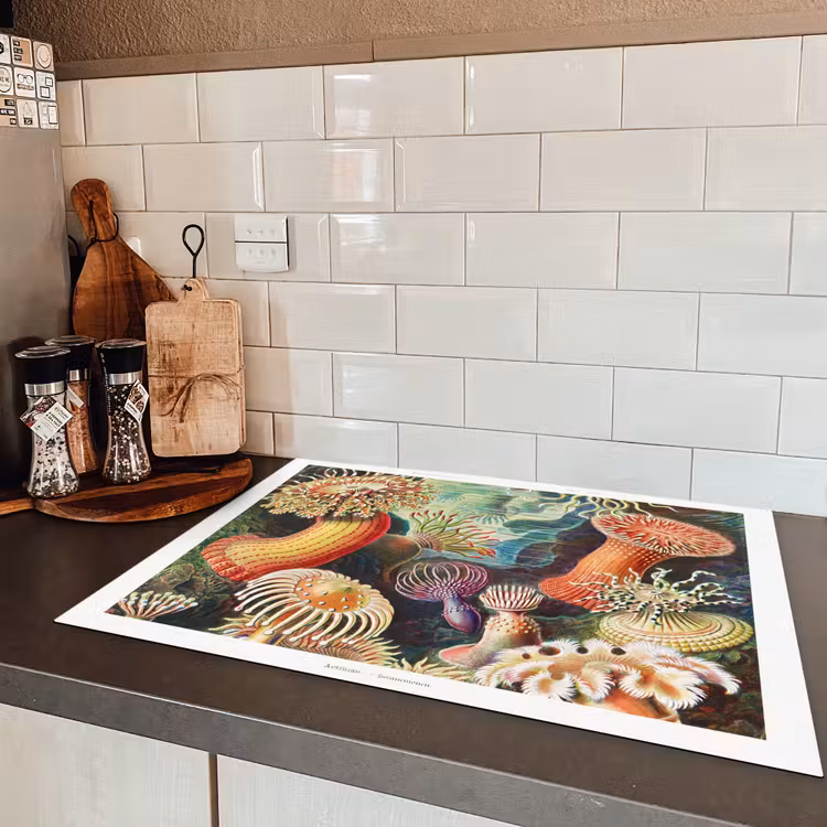 Ernst Haeckel - Anemoon - Retro - Natuur - Planten - Zee Inductie beschermer vinyl 3mm middel -sfeer3