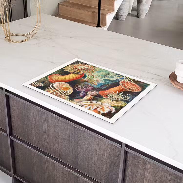 Ernst Haeckel - Anemoon - Retro - Natuur - Planten - Zee Inductie beschermer vinyl 3mm middel -sfeer8