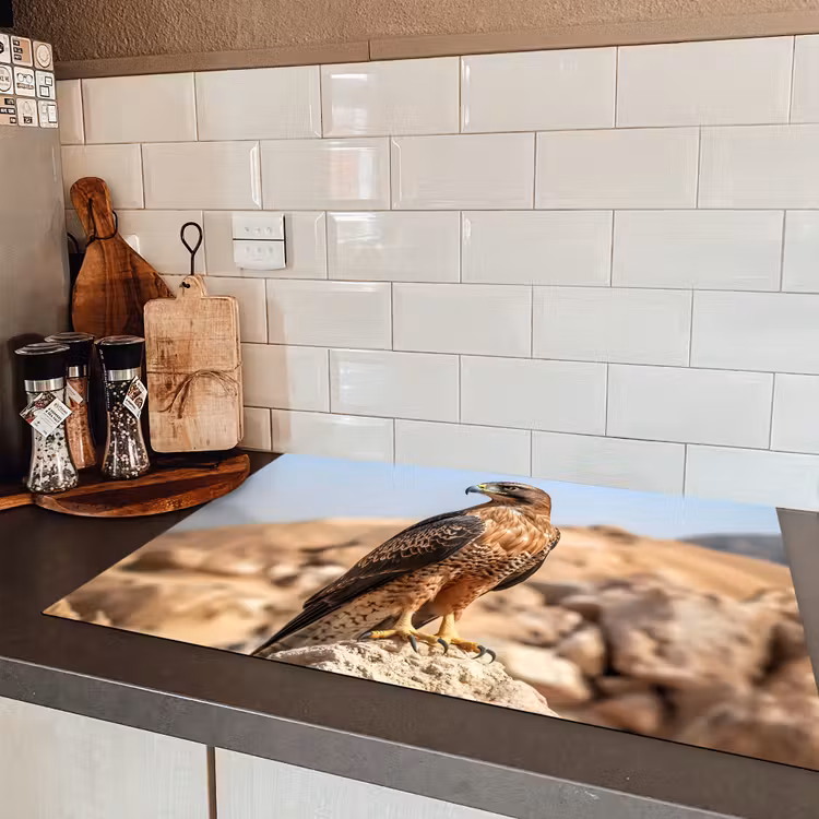 Valk - Vogel - Rots - Macht Inductie beschermer vinyl 3mm klein -sfeer3