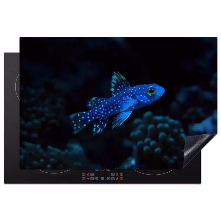 Vis - Stippen - Koraal - Blauw Inductie beschermer vinyl 3mm klein -3d