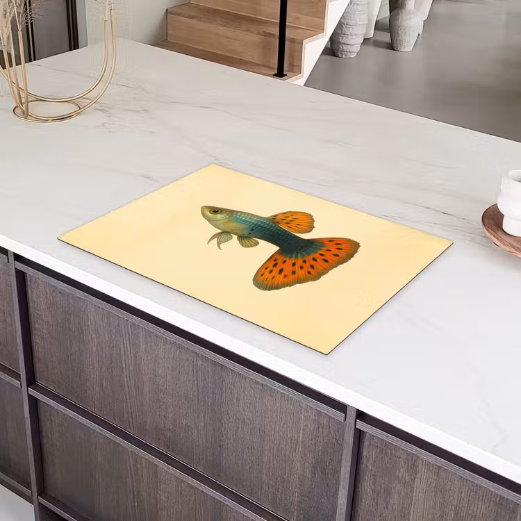 Vis - illustratie - Stippen - Oranje Inductie beschermer vinyl 3mm klein -sfeer8