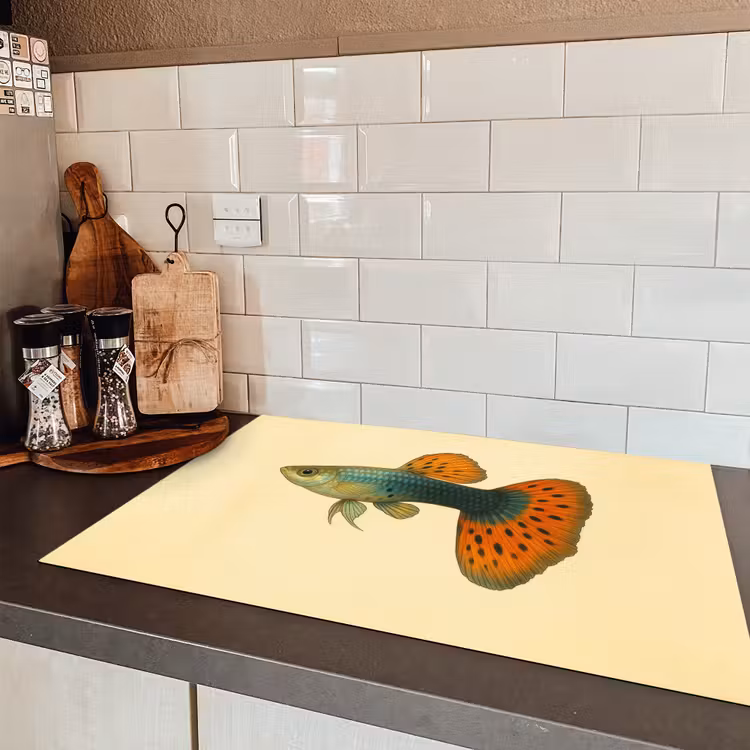 Vis - illustratie - Stippen - Oranje Inductie beschermer vinyl 3mm klein -sfeer3