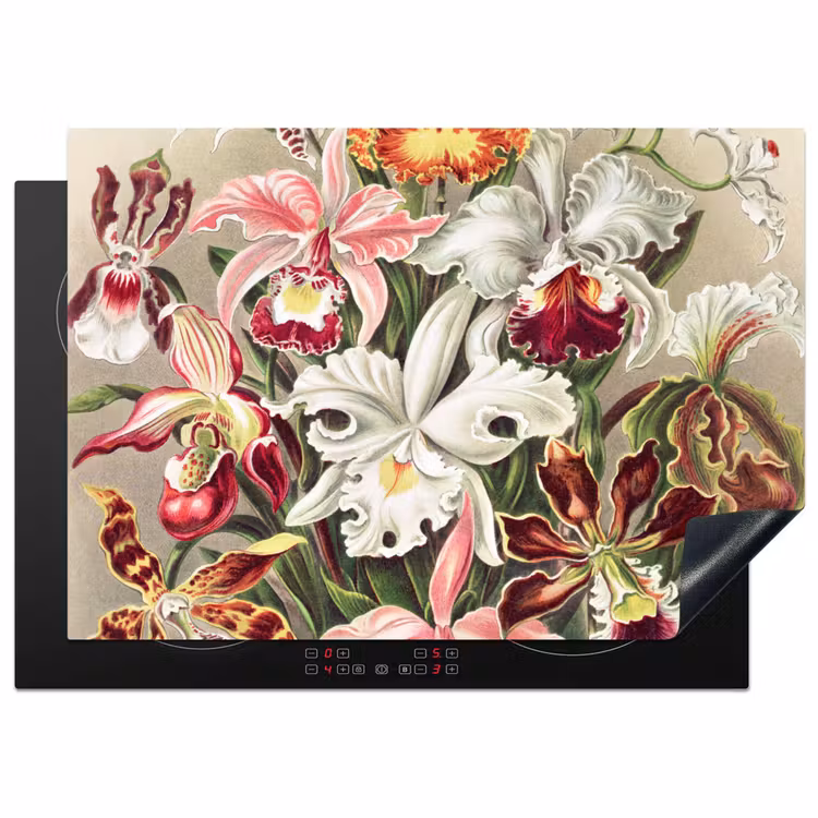 Bloemen - Ernst Haeckel - Vintage - Orchidee Inductie beschermer vinyl 3mm middel -3d