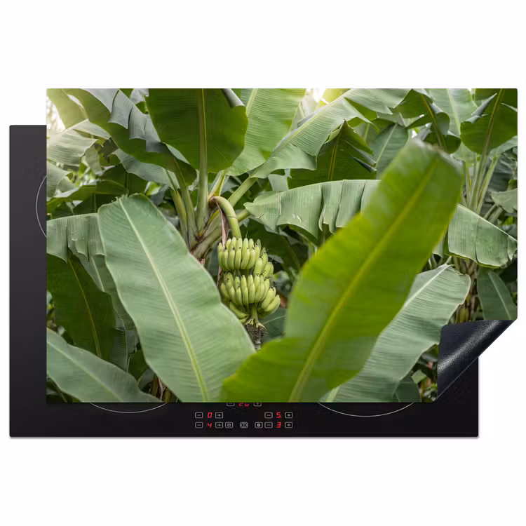 Eten - Bananen - Plantage - Groen Inductie beschermer vinyl 3mm klein -3d