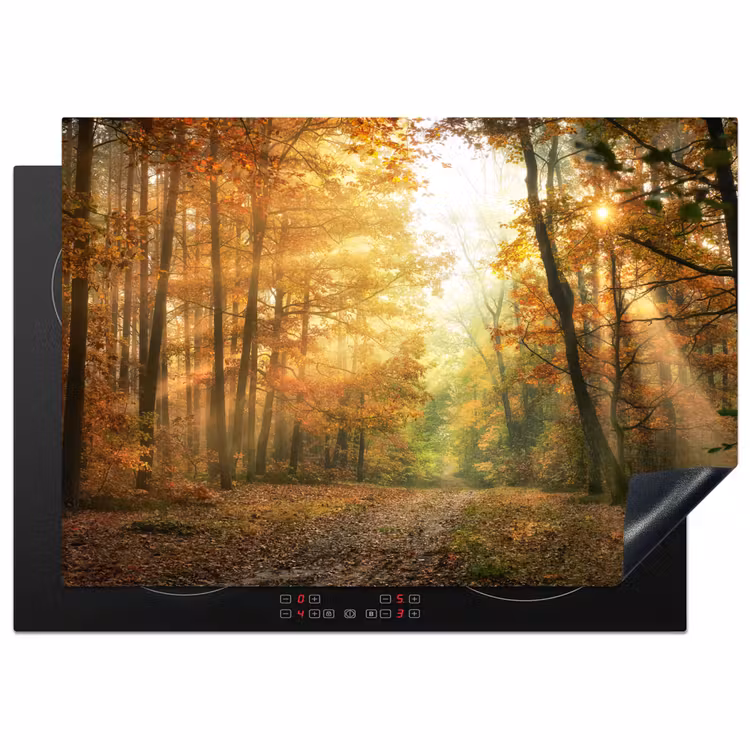 Bos - Herfst - Zon - Landschap - Natuur - Bomen - Bladeren Inductie beschermer vinyl 3mm middel -3d