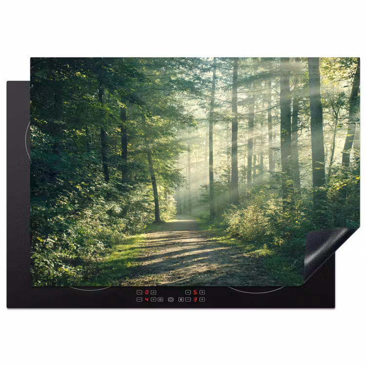 Bos - Pad - Zon - Bomen - Groen - Natuur Inductie beschermer vinyl 3mm middel -3d