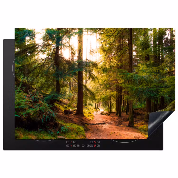 Bos - Pad - Bomen - Groen - Zon - Natuur Inductie beschermer vinyl 3mm middel -3d