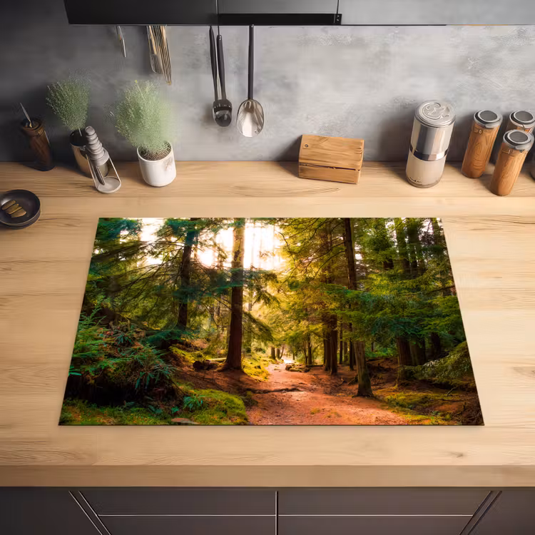 Bos - Pad - Bomen - Groen - Zon - Natuur Inductie beschermer vinyl 3mm middel -sfeer5