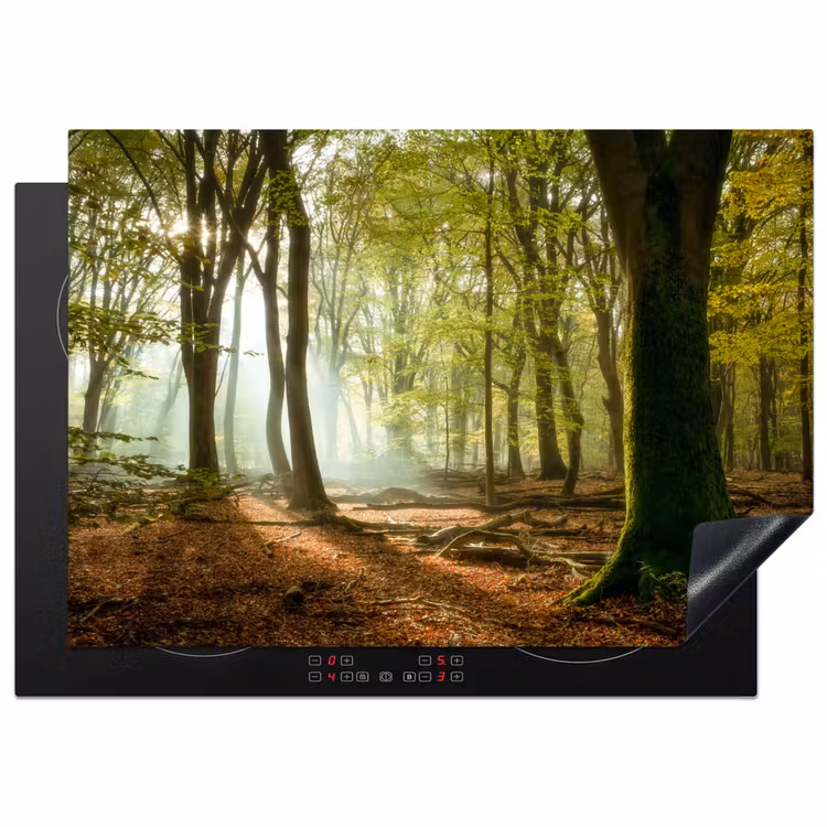 Bos - Zon - Seizoenen - Landschap Inductie beschermer vinyl 3mm middel -3d