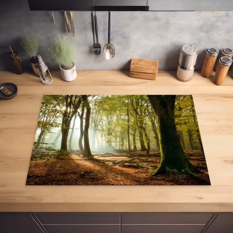 Bos - Zon - Seizoenen - Landschap Inductie beschermer vinyl 3mm middel -sfeer5