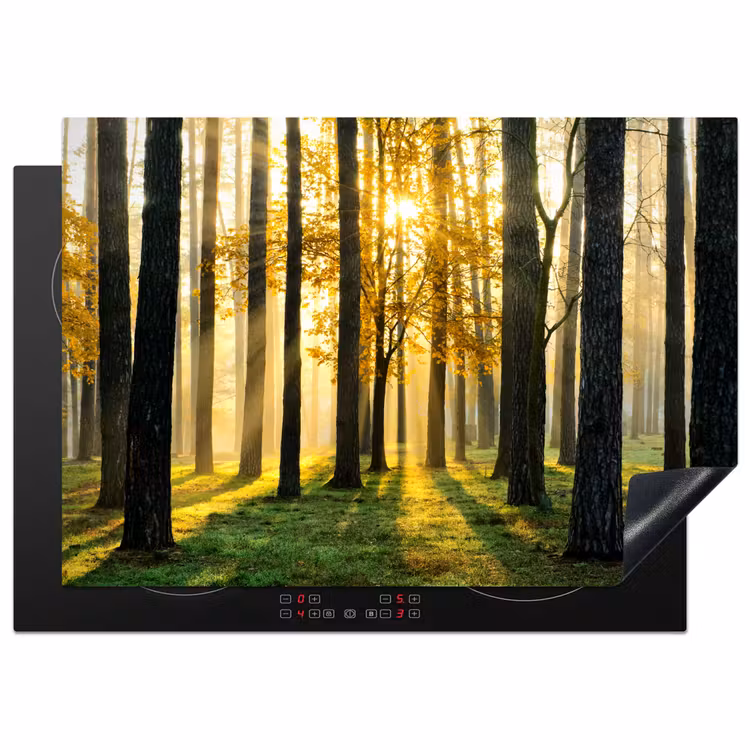 Bos - Zon - Bomen - Gras - Landschap  - Natuur Inductie beschermer vinyl 3mm middel -3d