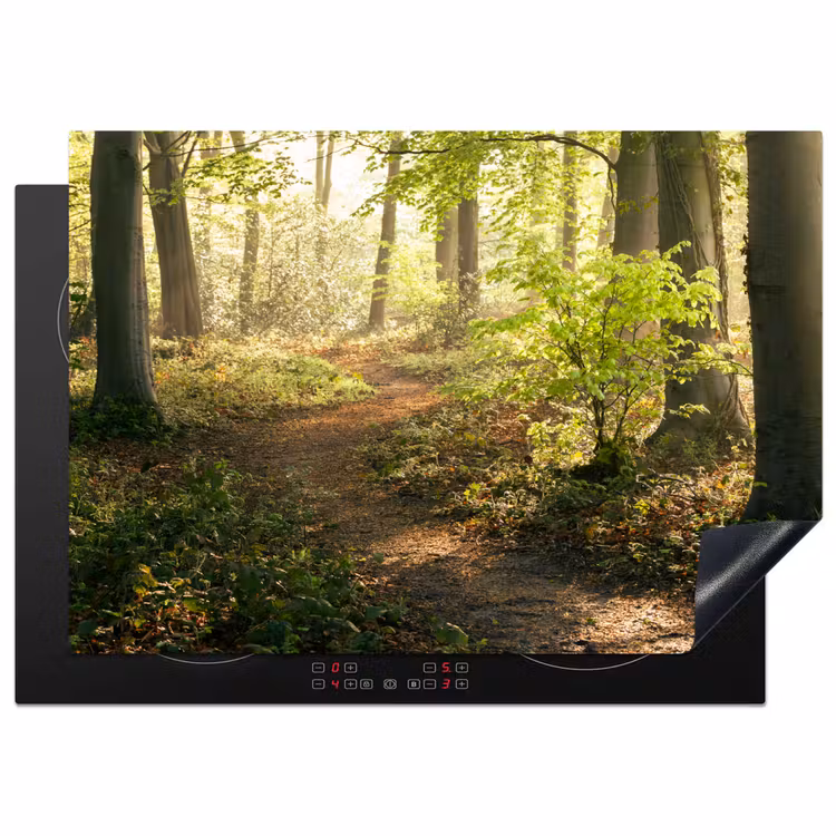 Bos - Bomen - Pad - Zon - Planten - Bladeren - Natuur Inductie beschermer vinyl 3mm middel -3d