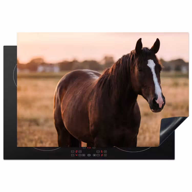Paard - Zonsondergang - Bruin Inductie beschermer vinyl 3mm klein -3d