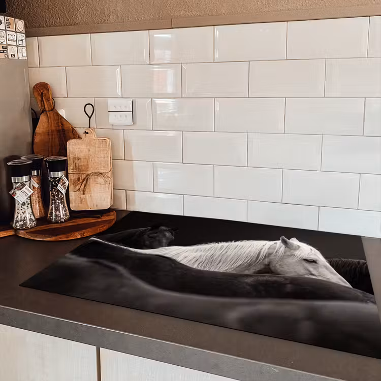 Paarden - Zwart - Wit - Kudde Inductie beschermer vinyl 3mm klein -sfeer3