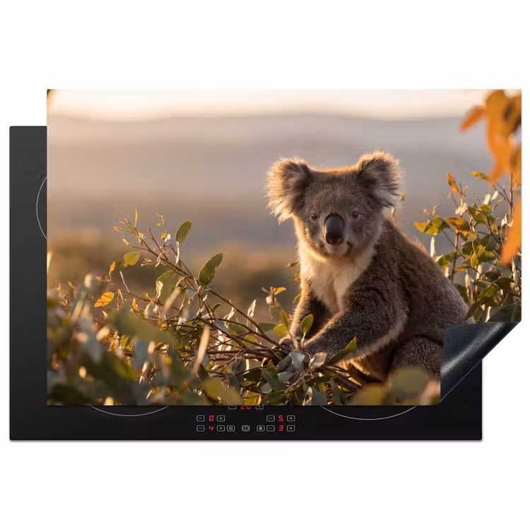 Koala - Bladeren - Ochtendlicht Inductie beschermer vinyl 3mm klein -3d