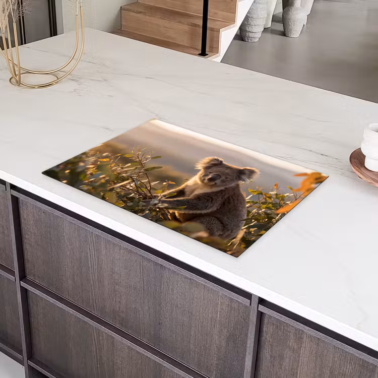 Koala - Bladeren - Ochtendlicht Inductie beschermer vinyl 3mm klein -sfeer8