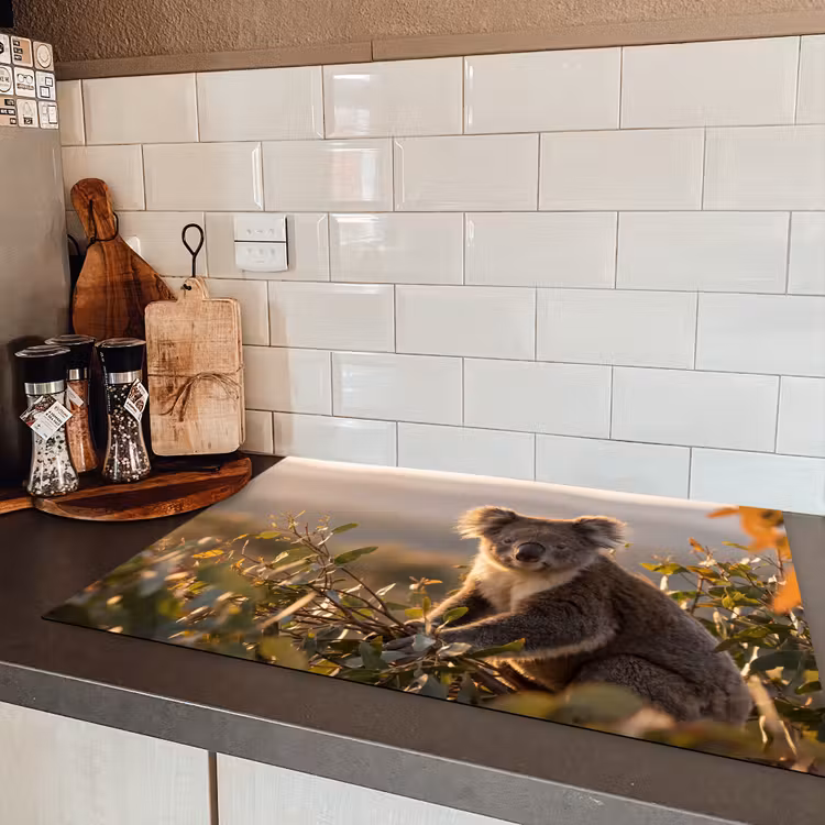 Koala - Bladeren - Ochtendlicht Inductie beschermer vinyl 3mm klein -sfeer3