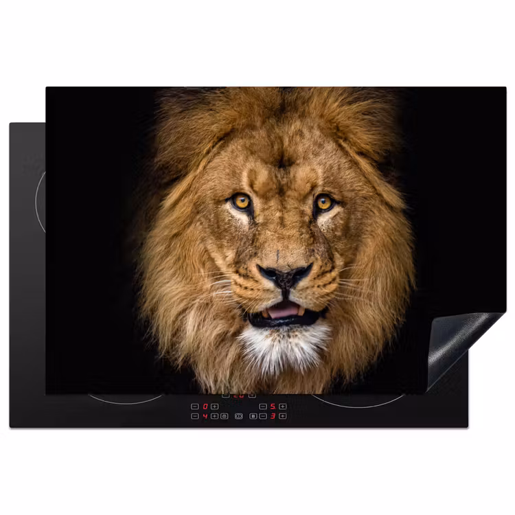 Leeuw - Portret - Zwart - Dieren Inductie beschermer vinyl 3mm klein -3d